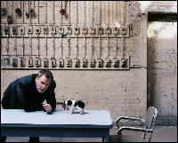 superherotv.net_vincent_d_onofrio_004 (1000x803, 250 kБ...)